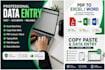 do accurate data entry, excel data entry, PDF to word, copy paste and typing