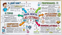 create hand drawn sketchnote, visual summary and doodle infographic design