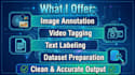 do data annotation, image labeling and ai training data preparation