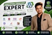 install your wordpress theme with demo content