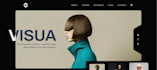create a simple or professional website