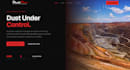build you a professional website fast