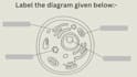 design educational worksheets for students