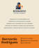 design a modern and professional logo