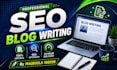 write SEO blog posts and website content