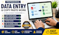 copy paste, data entry, and convert excel to pdf professionally