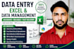 do advanced excel data management