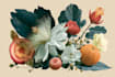 draw botanical illustration, flower, plant