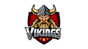 create unique viking logo with new creative concepts