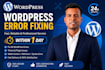 fix wordpress issues errors bugs css provide wp help