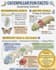 professionally turn your content to a poster with ai