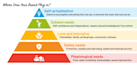 help you develop your brand plan