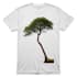 minimal last leaf tree png