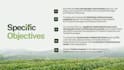 visually appealing presentation slides that impress