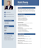 professional ats CV resume design