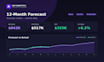 build a professional financial forecasting model
