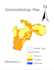provide gis mapping and remote sensing solutions