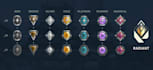 do boosting and coaching services in multiple titles