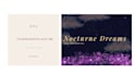 create a premium moodboard and visual direction deck