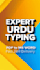 do professional urdu typing and convert handwritten notes to ms word