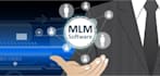 develop mlm software, mlm website, ponzi scheme MLM p2p website