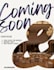 design modern real estate flyers