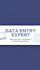 accurate data entry, excel typing and google sheets work