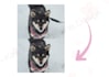 retouch your photo naturally and professionally