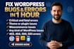 fix wordpress issues, fix wordpress errors, and resolve bugs fast