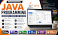 create professional PPT presentations and java tasks