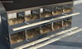 do custom 3d poultry farm, chicken house, livestock facility design, hatchery