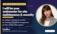 be your webmaster for site maintenance and security