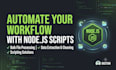 develop custom node js scripts and web automations