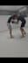 review your beginner boxing or bjj technique
