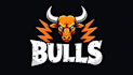 design super bull head logo in 12 hours