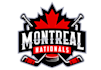 make high quality hockey logo with fastest delivery