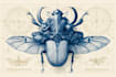 create scientific illustrations, diagrams and graphical