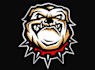 create high quality bull dog logo with free source file