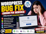 wordpress bug fix and error fix service