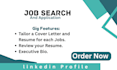 provide professional job search and application support