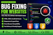 fix bugs in your game in HTML, CSS and javascript