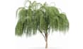 do 3d house tree model,office flower design and glb,gltf,obj model file print