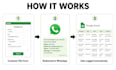 setup whatsapp, google sheets lead automation on website