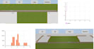 do simulations for assignments and projects on analogic flexism and arena