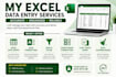 do professional excel data entry, formatting and data cleaning