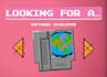 develop and host your dynamic website