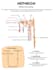 design educational and science infographics in canva