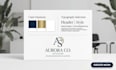 create a professional canva brand kit and templates