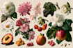 draw fineline botanical delicate flowers