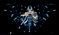 make nsfw pixel art character sprite sheet animation nsfw pixel art animation